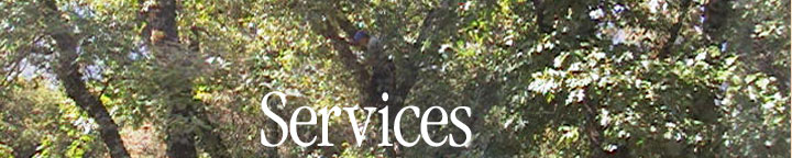 Agri Con full tree Service Company